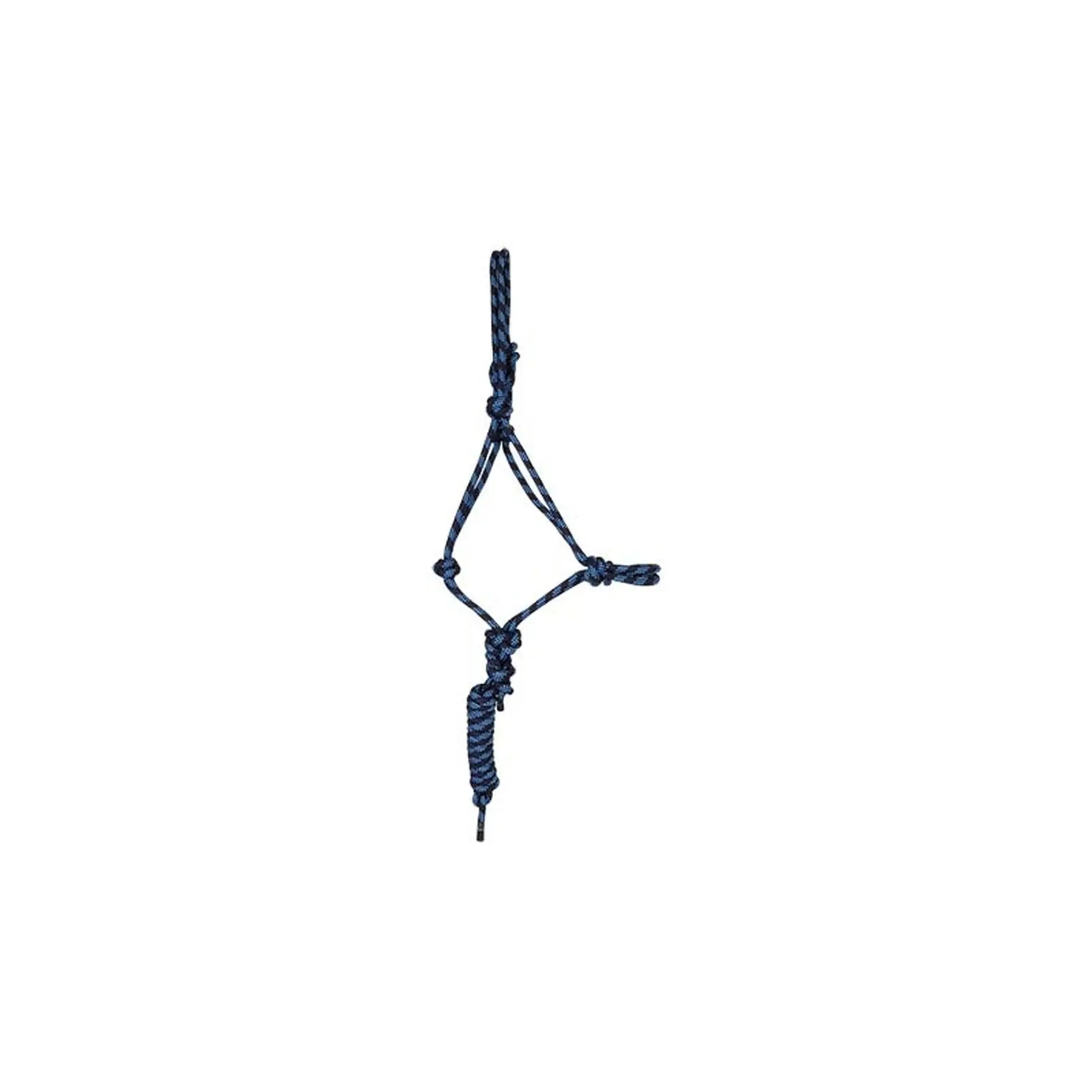 Halter for horse etho+longe T de T